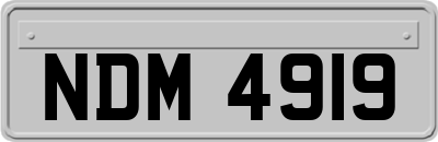 NDM4919