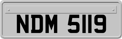 NDM5119