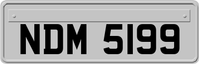 NDM5199