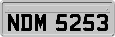 NDM5253