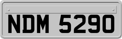 NDM5290