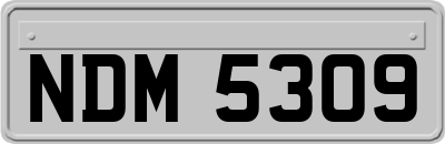 NDM5309