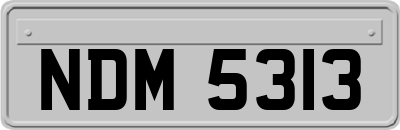 NDM5313