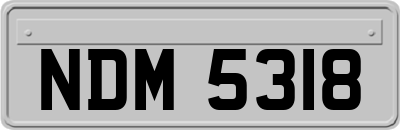 NDM5318