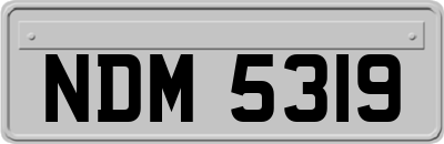 NDM5319