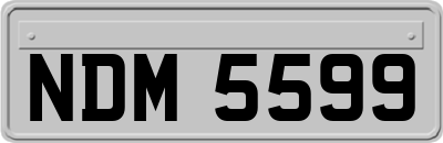 NDM5599