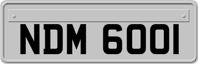 NDM6001