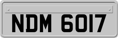 NDM6017