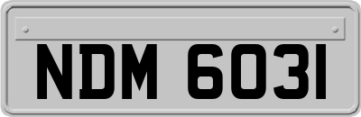 NDM6031