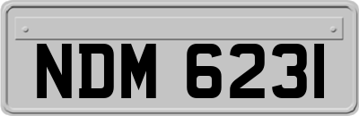 NDM6231