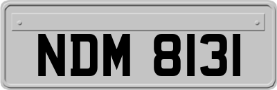NDM8131