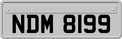 NDM8199