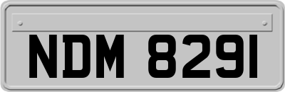 NDM8291
