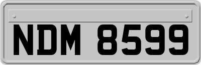 NDM8599