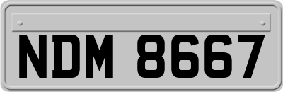 NDM8667