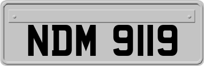 NDM9119