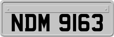 NDM9163