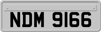 NDM9166