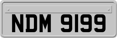 NDM9199