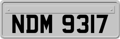 NDM9317
