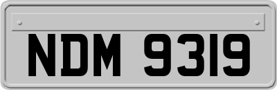 NDM9319