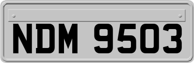 NDM9503
