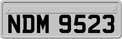 NDM9523