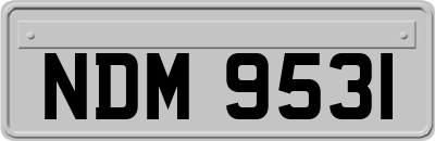 NDM9531