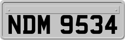 NDM9534