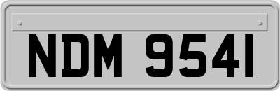 NDM9541