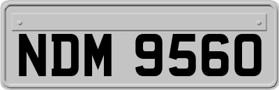 NDM9560