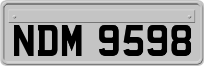 NDM9598