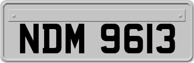 NDM9613