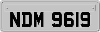 NDM9619