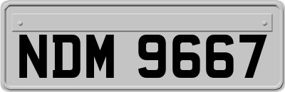 NDM9667