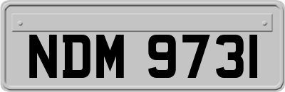 NDM9731