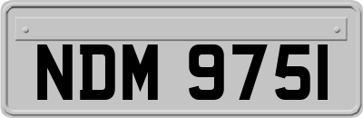 NDM9751
