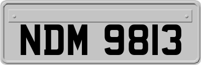 NDM9813