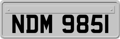 NDM9851