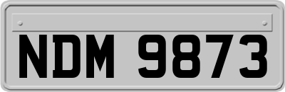 NDM9873