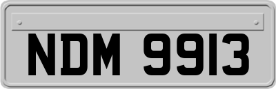 NDM9913