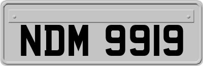 NDM9919
