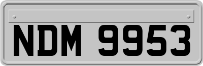NDM9953