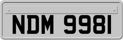 NDM9981