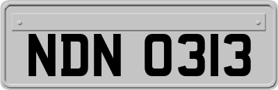 NDN0313
