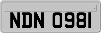 NDN0981