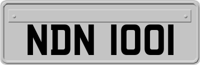 NDN1001