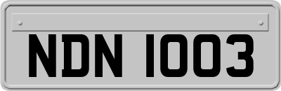 NDN1003