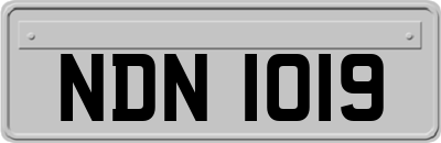 NDN1019