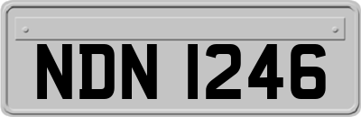 NDN1246